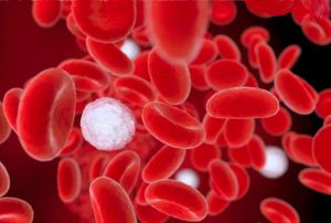 microplastiche sangue